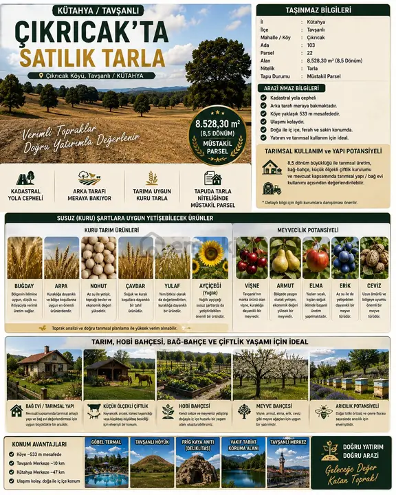 Sahibinden + Kütahya + Tavşanlı ++ 8.528 M² Kadastral Yollu - Meraya Sıfır 1