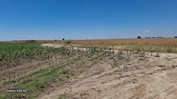 Tekirdağ Saray B.yoncalı Arsa 2