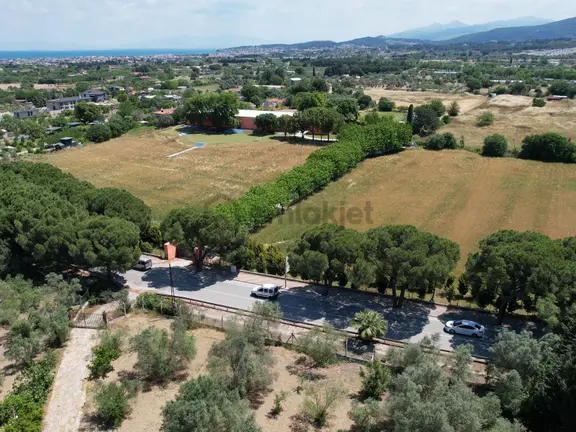 Urla İskele Ağaçlı Yola 200 Metre Cepheli Emsalsiz Satılık Tarla 1