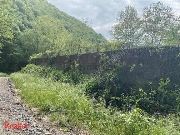 Sakarya Akyazı İnanılmaz Güzellikte 6 Villalık Çiftlik 2