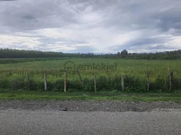 Çarşamba Park Orman Ve Deniz Yanında Yola 43 M. Cepheli Tarla 2