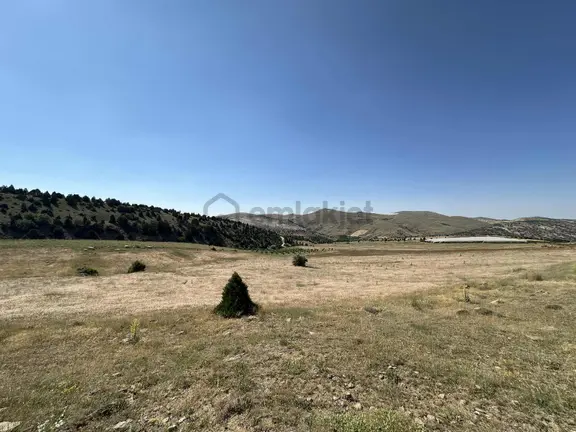 Verimli Toprağa Sahip Bahçe Kurmaya Elverişli Tarla 2