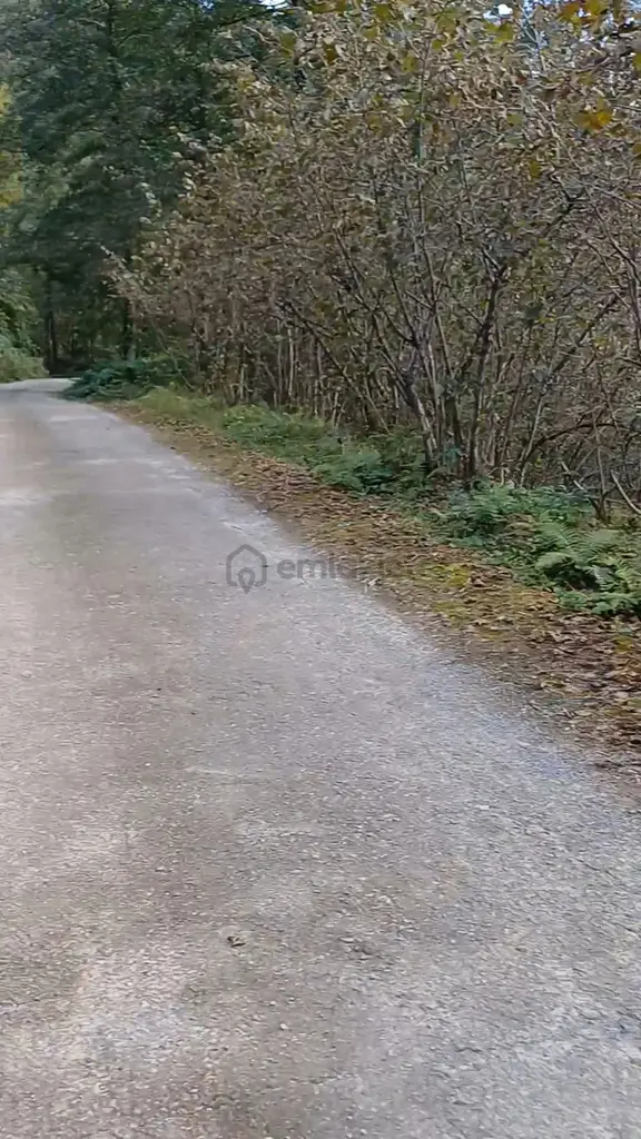 Sahibinden Giresun Görele'de Müstakil Tapulu Ana Yola Cephe 590 M2 Parsel. 1