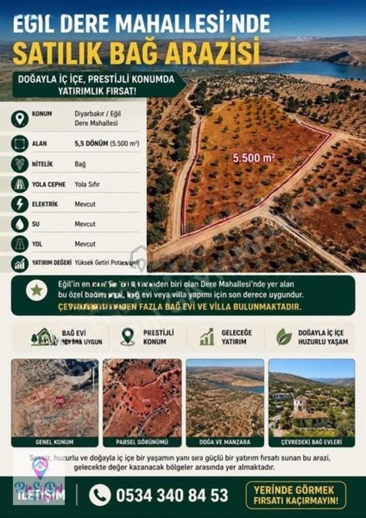 Eğil Kale Mah. 5.500 M² Satılık Bağ Yol Elektrik Su Mevcut 2