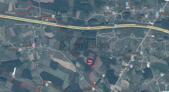 Düzce Bataklık Çiflik Köyünde Satılık Kavaklıklı Arazi 1