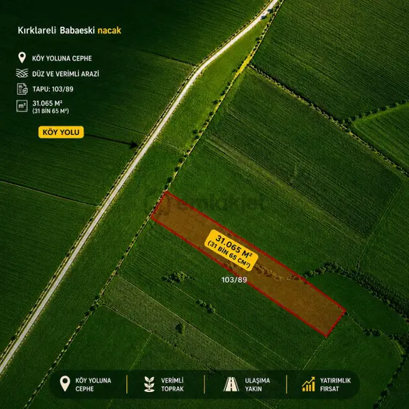 Kırklareli Babaeski Nacak Satılık 31.000 M2 Tarla 2