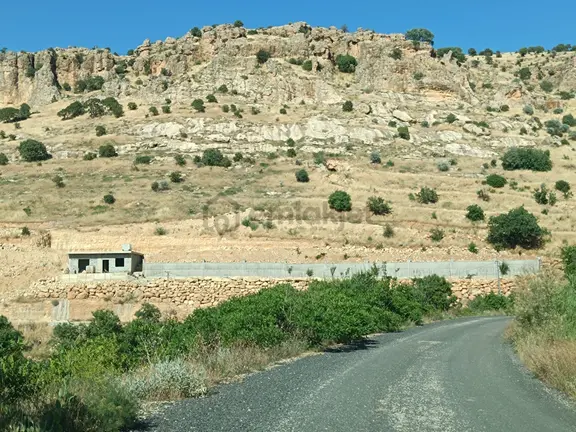 2 Dönüm Villa Yapımına Uygun 2