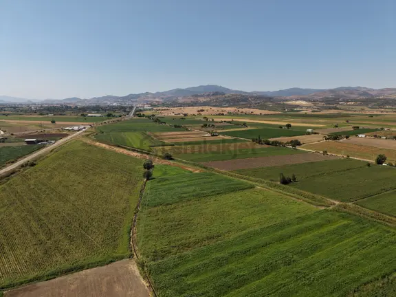 İzmir Bergama Kurtuluş Mahallesi’nde 6.600 M² Geniş Arazi 2