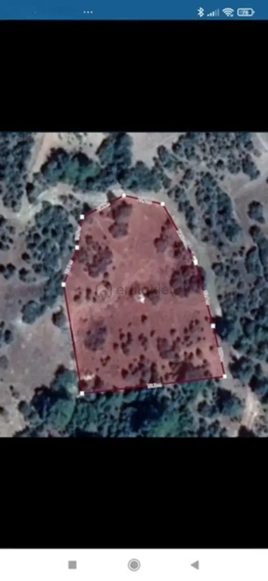 Bademlik'de Kadastro Yoluna 115 Metre Cephe Satılık Tarla 1