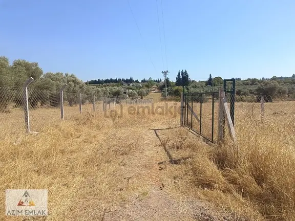 Demirci'de Satılık 2600 M² Bahçe 2