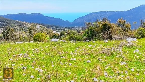 Antalya Belen Deniz Manzaralı 3850 M2 Tek Tapu Arazi ... 1
