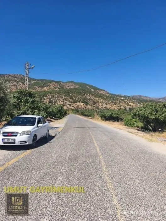 Buharkent Ortakçı Da Verimli, Yatırımlık Zeytin Ve Meyve Bahçesi 2