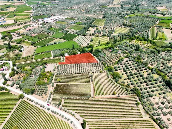 Selçuk Gökçealan'da Satılık 5377 M2 Tarla 2