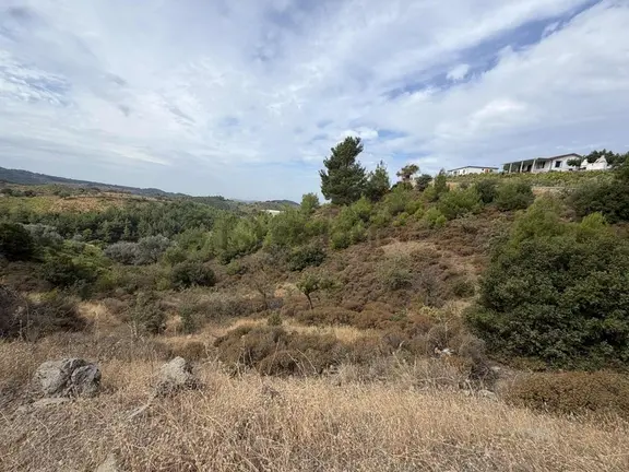 Menderes Efem Çukuru Mahallesinde Satılık Tek Tapu Tarla 1
