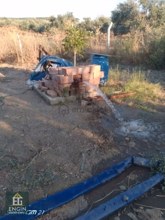 Köye Yakın Suyu Ve Yolu Olan Zeytinlik 2