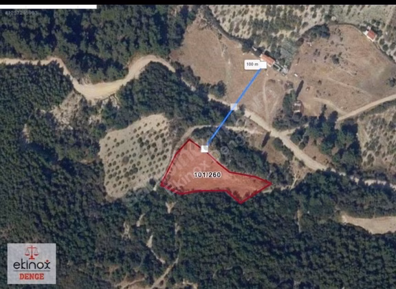 İzmir Manisa Sınırı Karakoca'da Ulaşımı Kolay 3 Dönüm Tarla 2