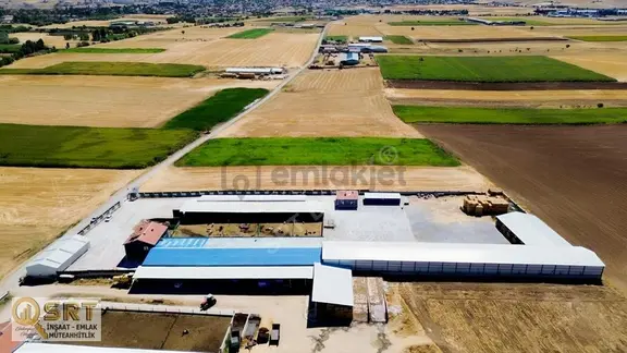 Sarayönü Ladik'te Ruhsatlı Et Entegre Tesisi Ve Çiftlik 1