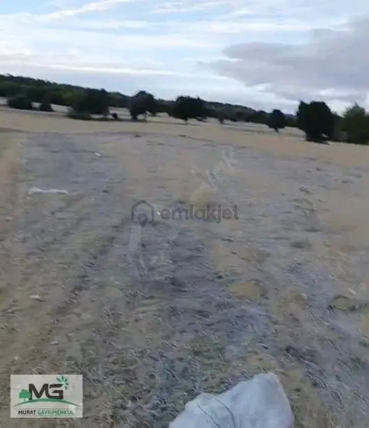 Kütahya Altıntaş Kelepir Tarla Ve Arsa 1