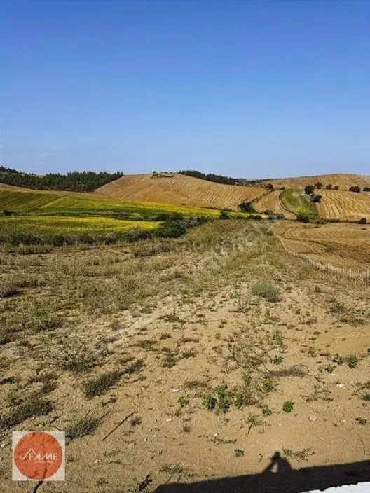Karaisalı Çakallı'da Satılık 13.477 M² Tarla 1
