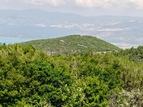 Yenişehir Mecidiyeköy De Göl Manzaralı 4926,m2-bahçe 1