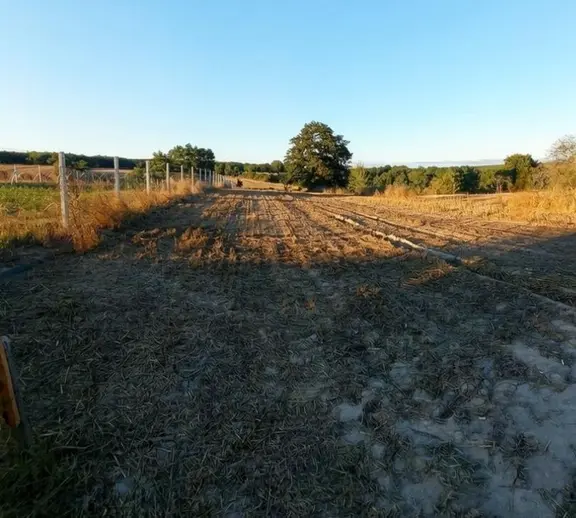 Sahibinden Tekirdağ Kapaklı Pınarça Mahallesi'nde 1408m²tarla 1
