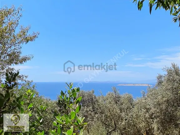 Edincik'de Deniz Manzaralı 484 M2 Arazi Araç Takası Olur 2