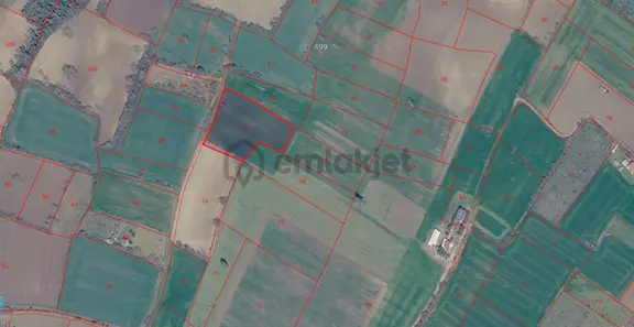Tekirdağ Süleymanpaşa Yavuz Mahallesi'nde Satılık 5152 M² Tarla 2