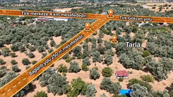 Ali Akdoğan Emlak'tan Tire Merkeze Yakın Zeytinlik 2