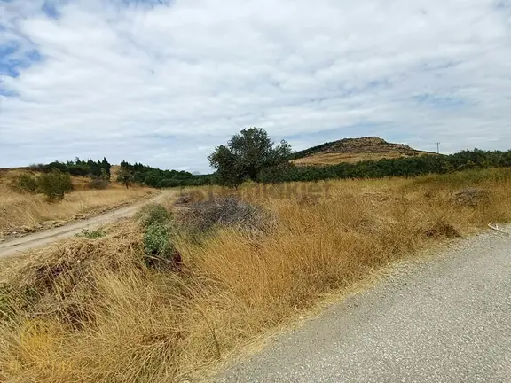 Gözde Life'tan Çanakkale Yoluna 107 M Cephesi Olan Satılık Tarla 2