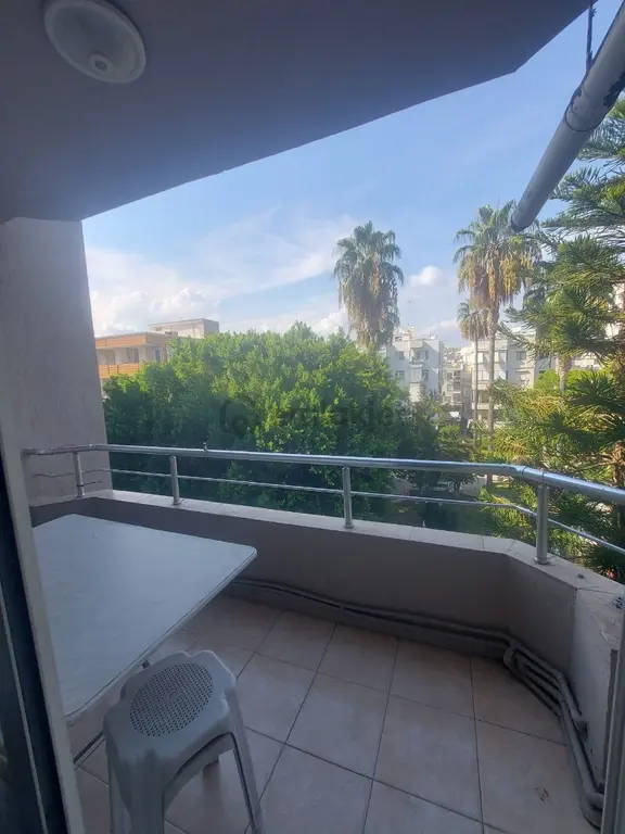 Mersin Y.şehir Pozcuda Kushimato Sokağı Yanı Forum Avm Yakınınd 2