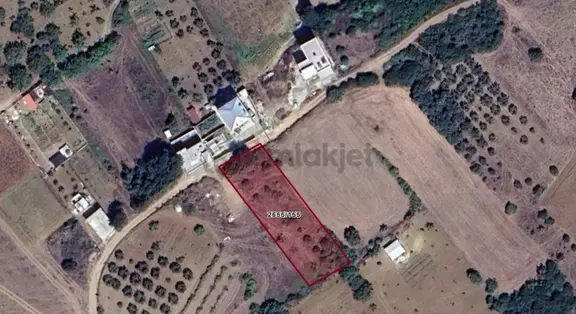 Mudanya Mesudiye'de 1.300 M² Deniz Manzaralı Tek Tapu Tarla 1