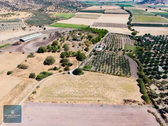 Dikili Demirtaş Satılık Tarla 1
