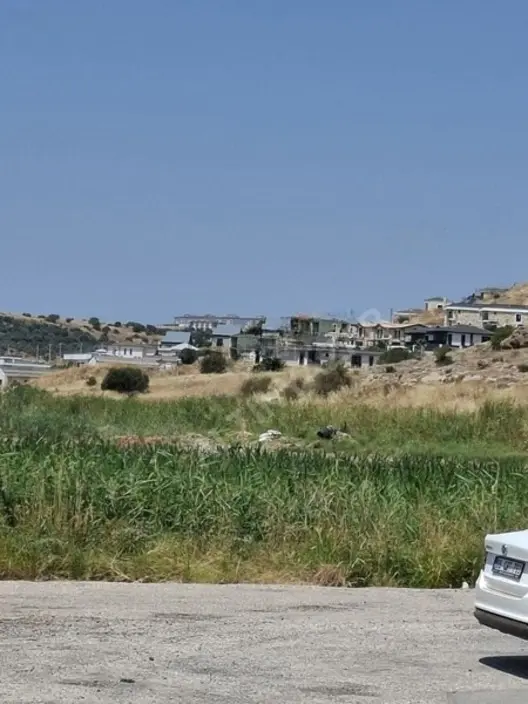 Foça Yenibağarasında 3840m2 Tek Tapu Zeytinlik Satılıktır 1