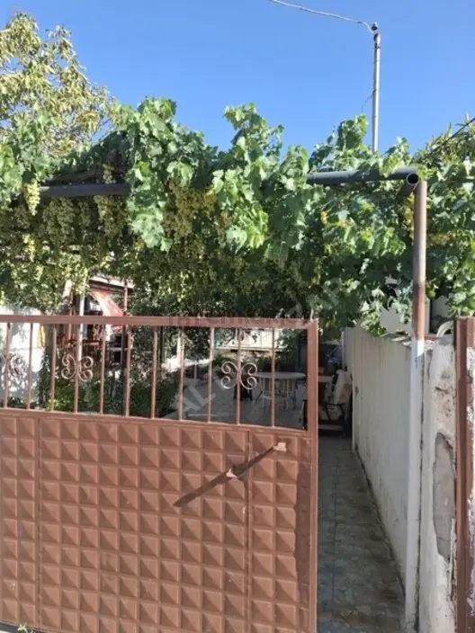 Foça Yeni Bağarasında 3+1 Bahçeli Ev Kiralıktır 2