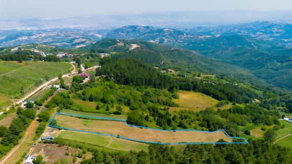 İnegöl Tuzla |satılık 8600 M² 2250 Adet Fideli Blueberry Bahçesi 1