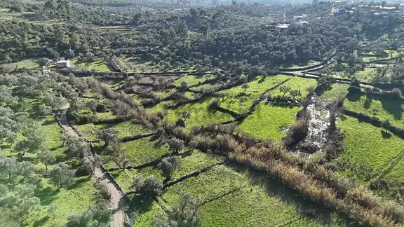 Mustafa Kayaalp'ten Yeniköy(karaova) Satılık Bahçe 2