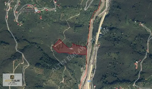 Giresun Çağlayanda 18.9 Dönüm Satılık Fındık Bahçesi 2