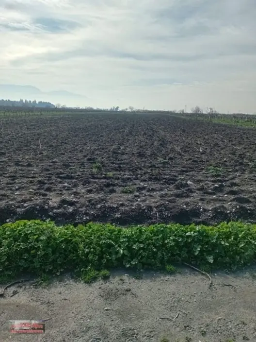 Bilginoğlu Emlaktan Satılık Tarla 1