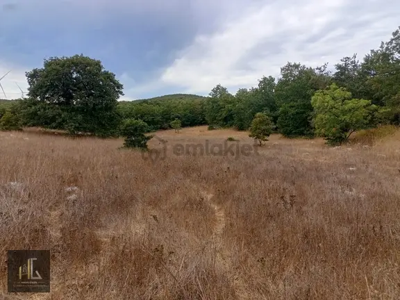 Maksempınar'da Yatırımlık 1084m² Satılık Arazi! 1