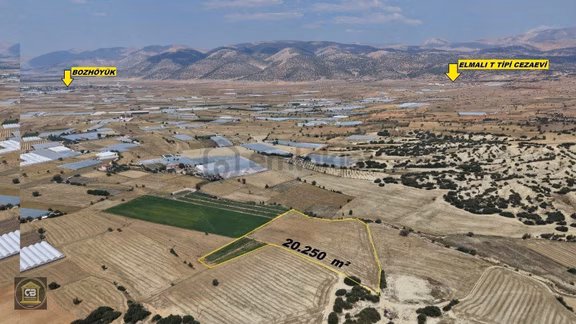 Baloğlu Gayrimenkul'den Elmalı Kocapınar Mah. 20.250m² Satılık Tarla 2