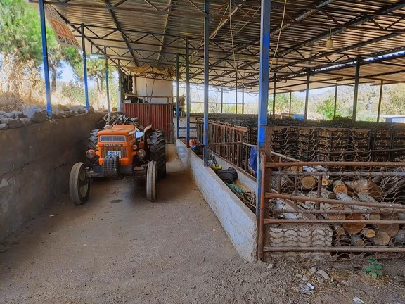 Pek Emlaktan Eğridere Köy Asfaltı Üzeri 1480 M2 Satılık Çiftlik 1