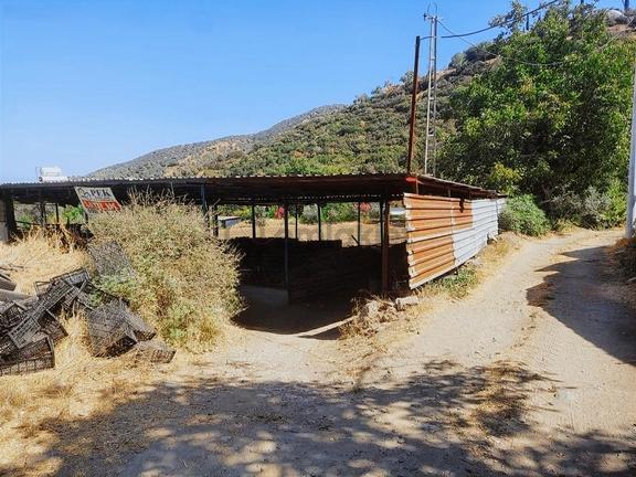 Pek Emlaktan Eğridere Köy Asfaltı Üzeri 1480 M2 Satılık Çiftlik 2