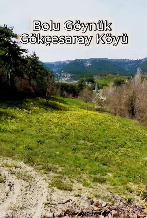 Göynük Gökçesaray Köyünde Satılık Tarla 1