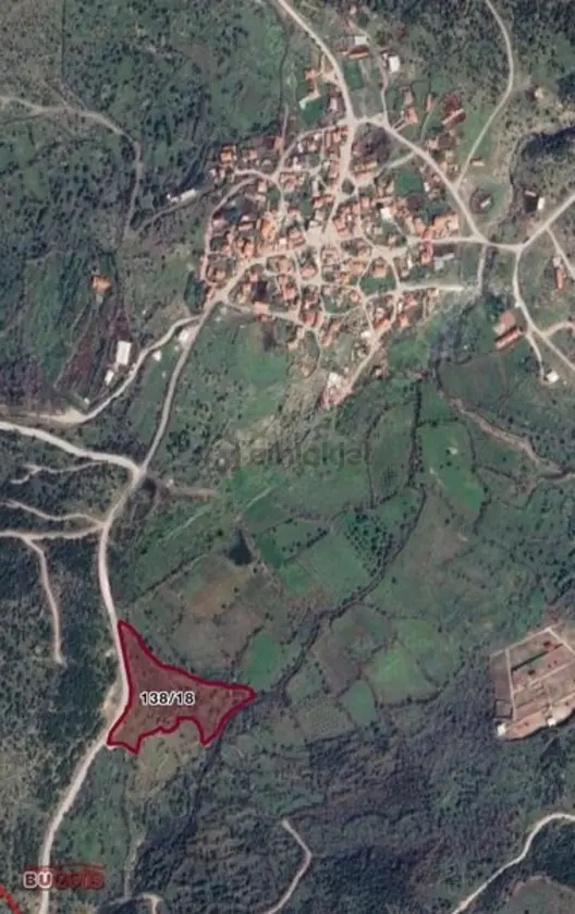 Çaltı Mahallesi 9000m2 Fırsat Fiyata Satılık Fıstık Bahçesi 2