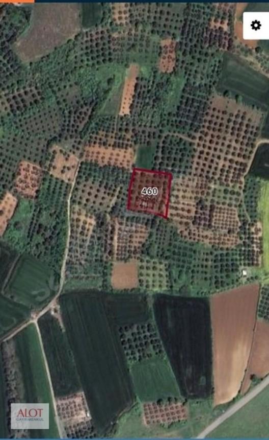 Kuş Gölüne Yakın Yatırımlık Fırsat 2710 Hobi Bahçelik Tarla 1