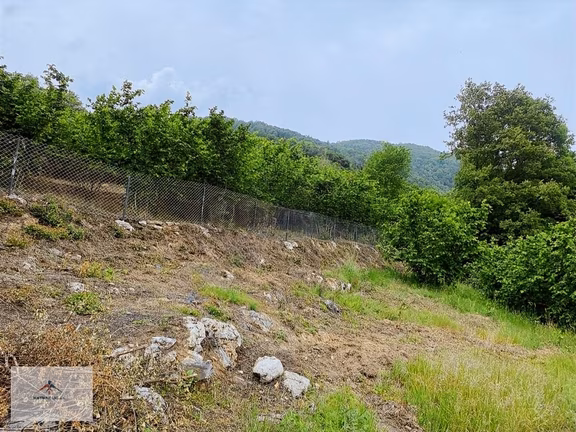 Doğası Ve Harika Manzarası İle Satılık Fındık Bahcesi 2