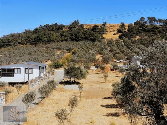 Foça Kozbeyli'de Deniz Manzaralı Elektrik Suyu Satılık Parseller 2