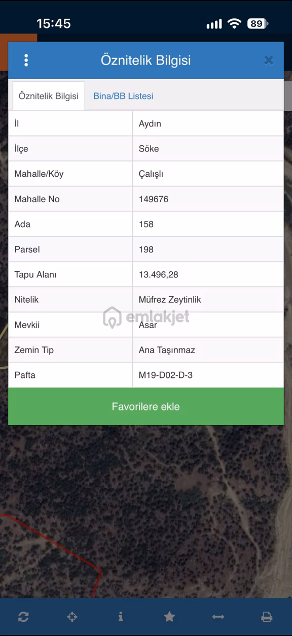 Söke Sarıçay Barajı Yanında Verimli Zeytinlik 2