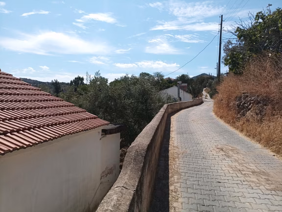 Söke Avşar Köyü’nde 1.080 M² İçinde 2 Ayrı Ev & 60-70 Zeytin Ağacı 2