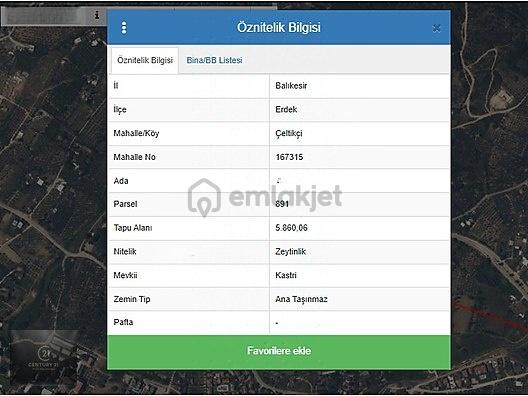 C21 Trust | Erdek Çeltikçi'de Ana Yola Sıfır 5860 M² Zeytinlik 1